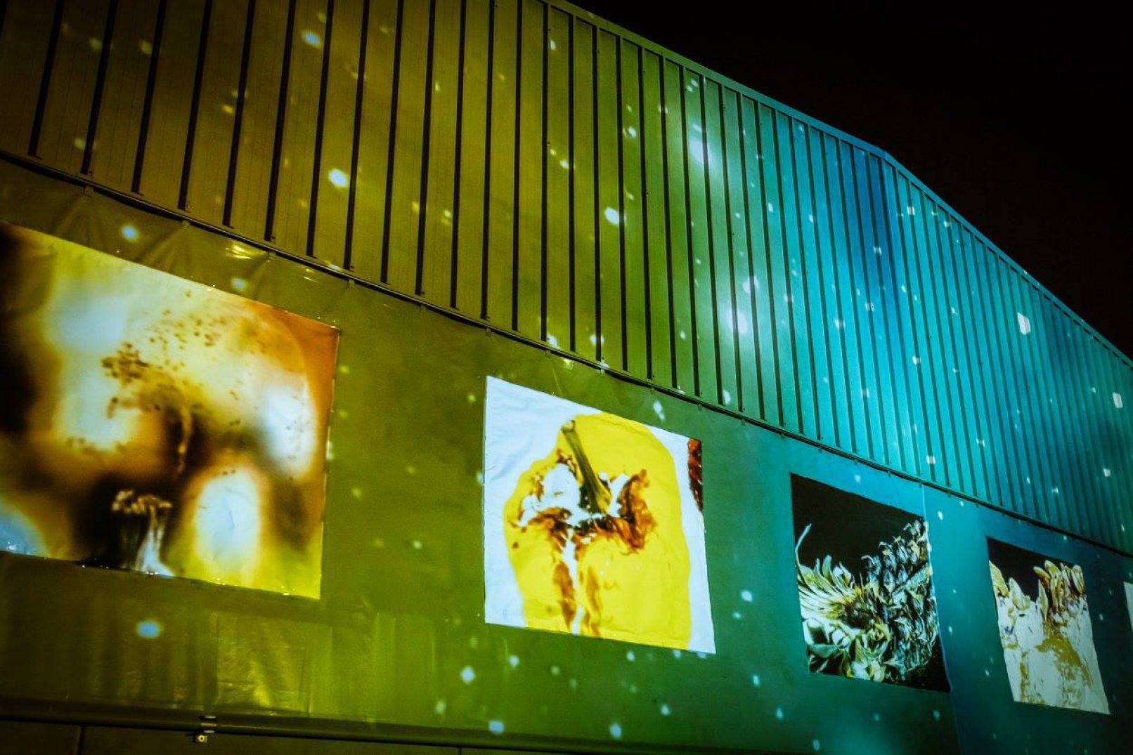 Naturae - Tersan Puglia - Interactive Videomapping