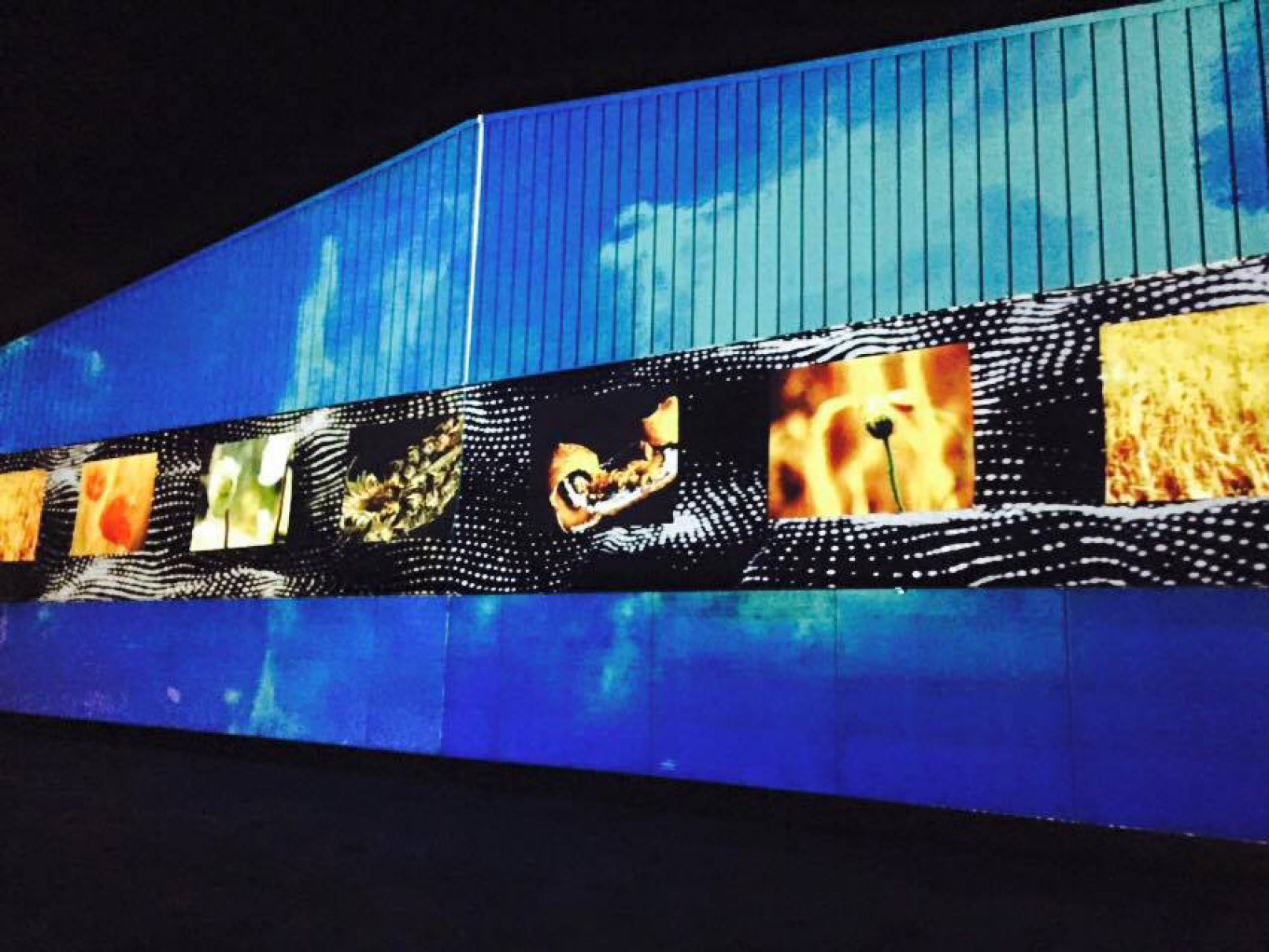 Naturae - Tersan Puglia - Interactive Videomapping