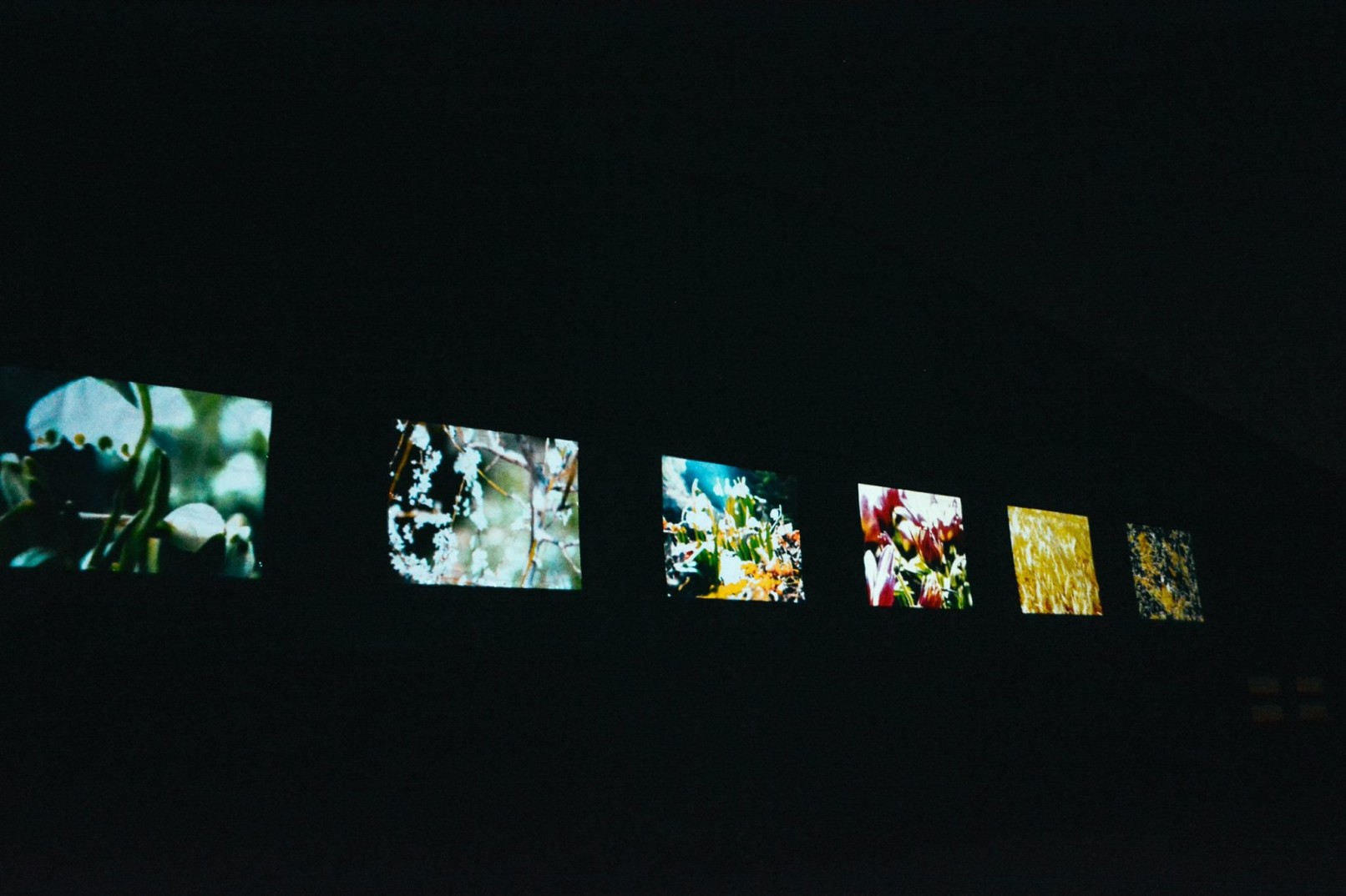 Naturae - Tersan Puglia - Interactive Videomapping