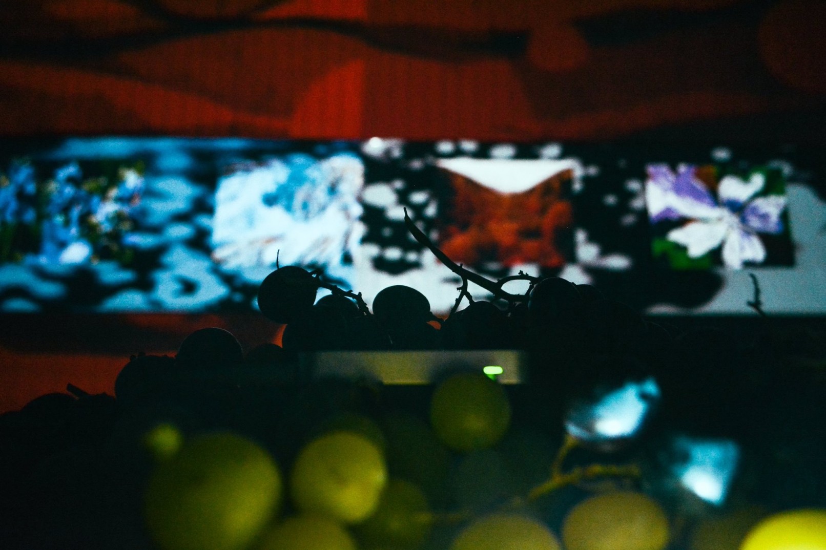Naturae - Tersan Puglia - Interactive Videomapping