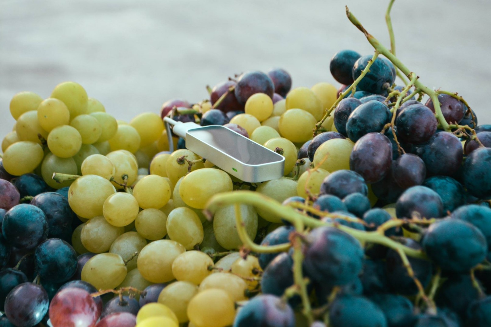 Naturae - Tersan Puglia - Interactive Videomapping