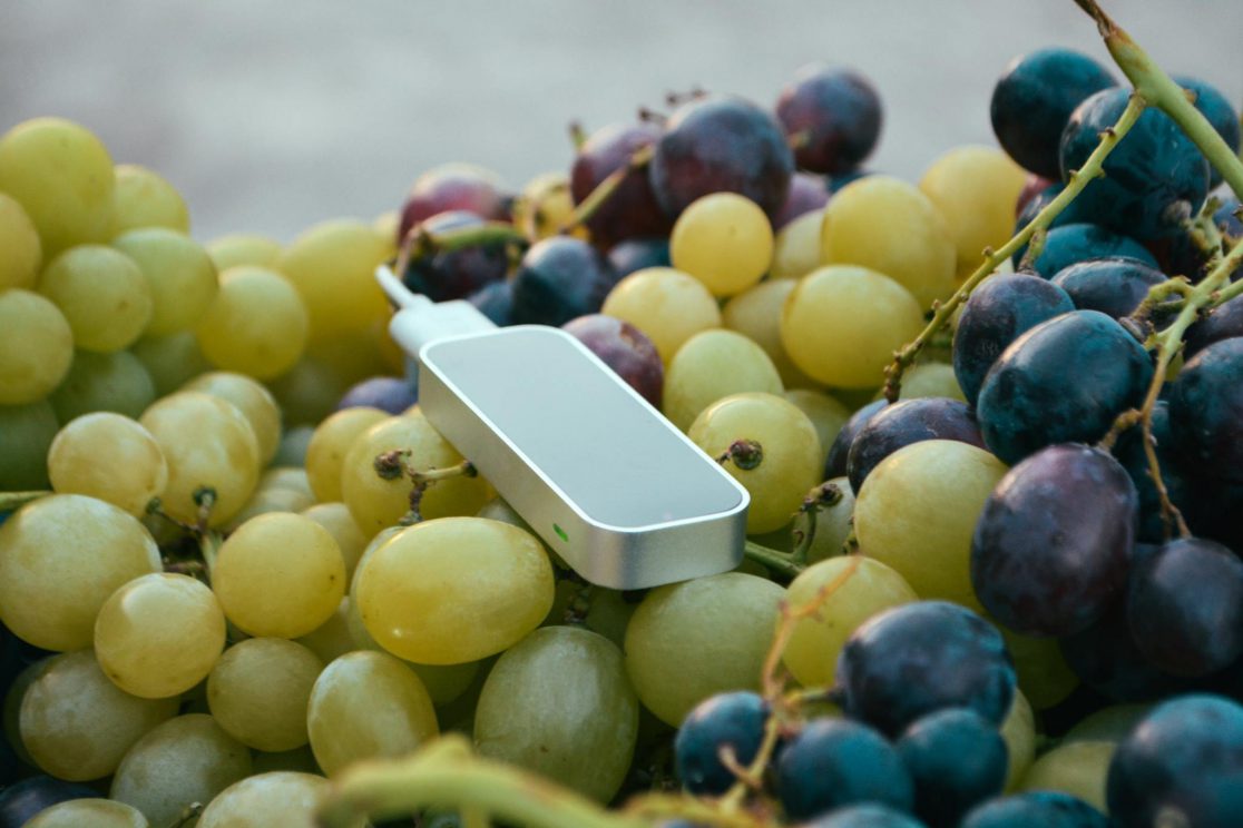 Naturae - Tersan Puglia - Interactive Videomapping